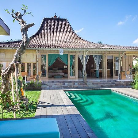Mana Sari Villa Ubud Exteriör bild